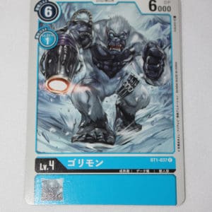 Digimon Card Game New Evolution BT1-037
